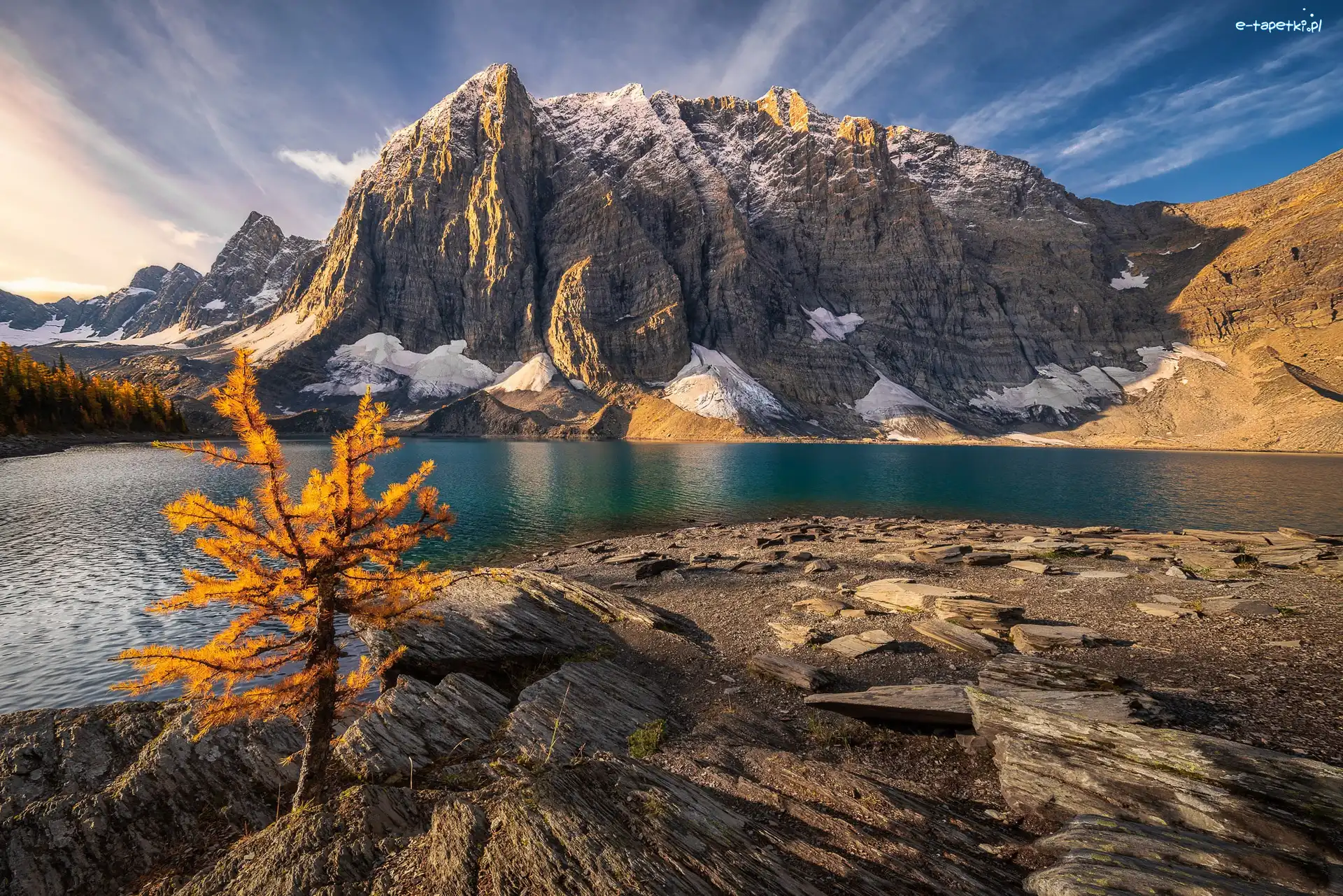 Alberta, Drzewo, Park Narodowy Banff, Kanada, Góry, Jezioro Moraine