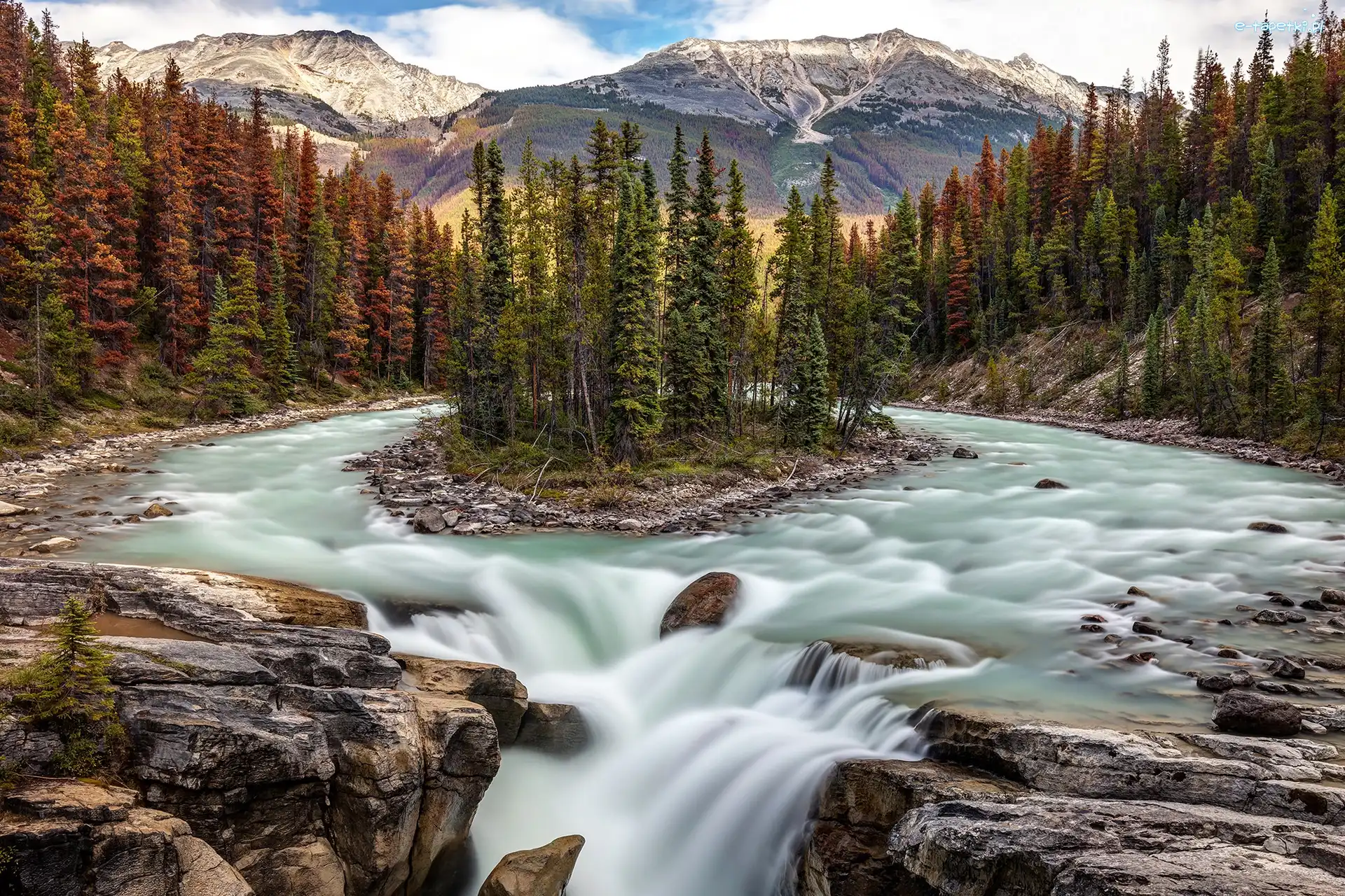 Kanada, Park Narodowy Jasper, Skały, Rzeka Sunwapta, Wodospad Sunwapta Falls, Alberta, Drzewa