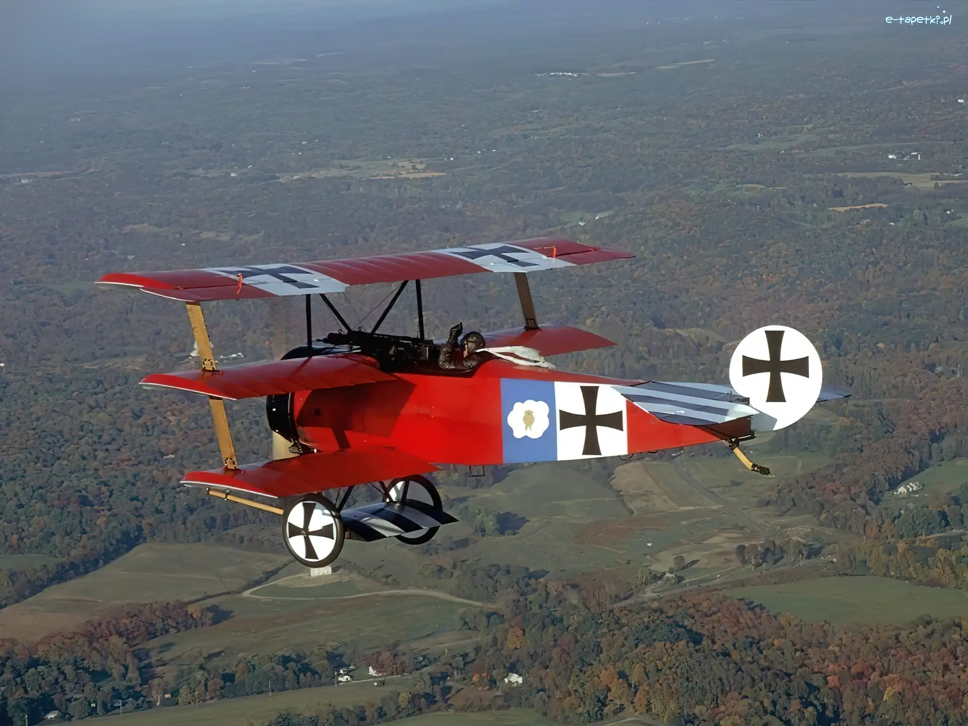Fokker, Baron, Red