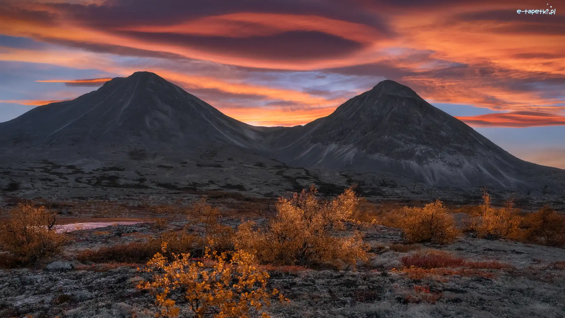 Park Narodowy Rondane, Krzewy, Chmury, Norwegia, Jesień, Góry