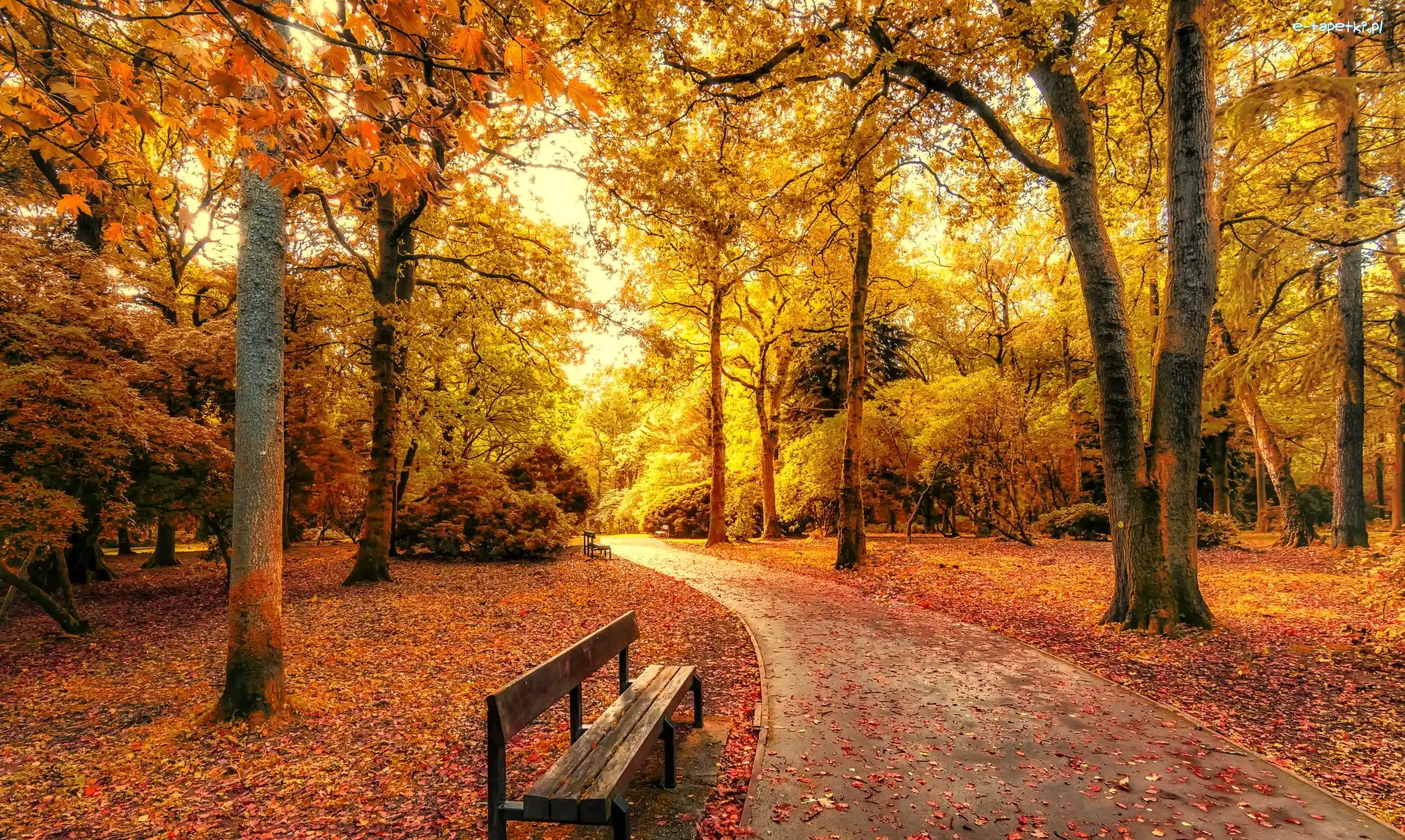 Park, Jesień, Aleja, Ławki