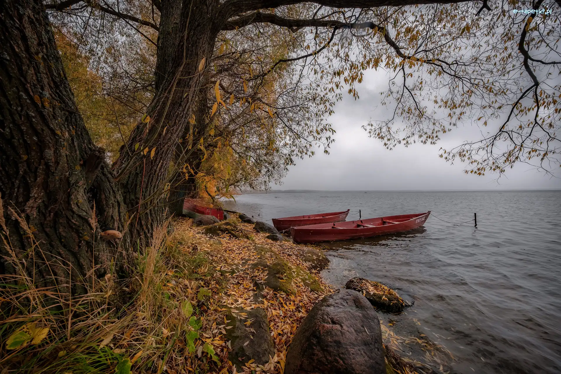 Jezioro, Łódki, Drzewa, Jesień