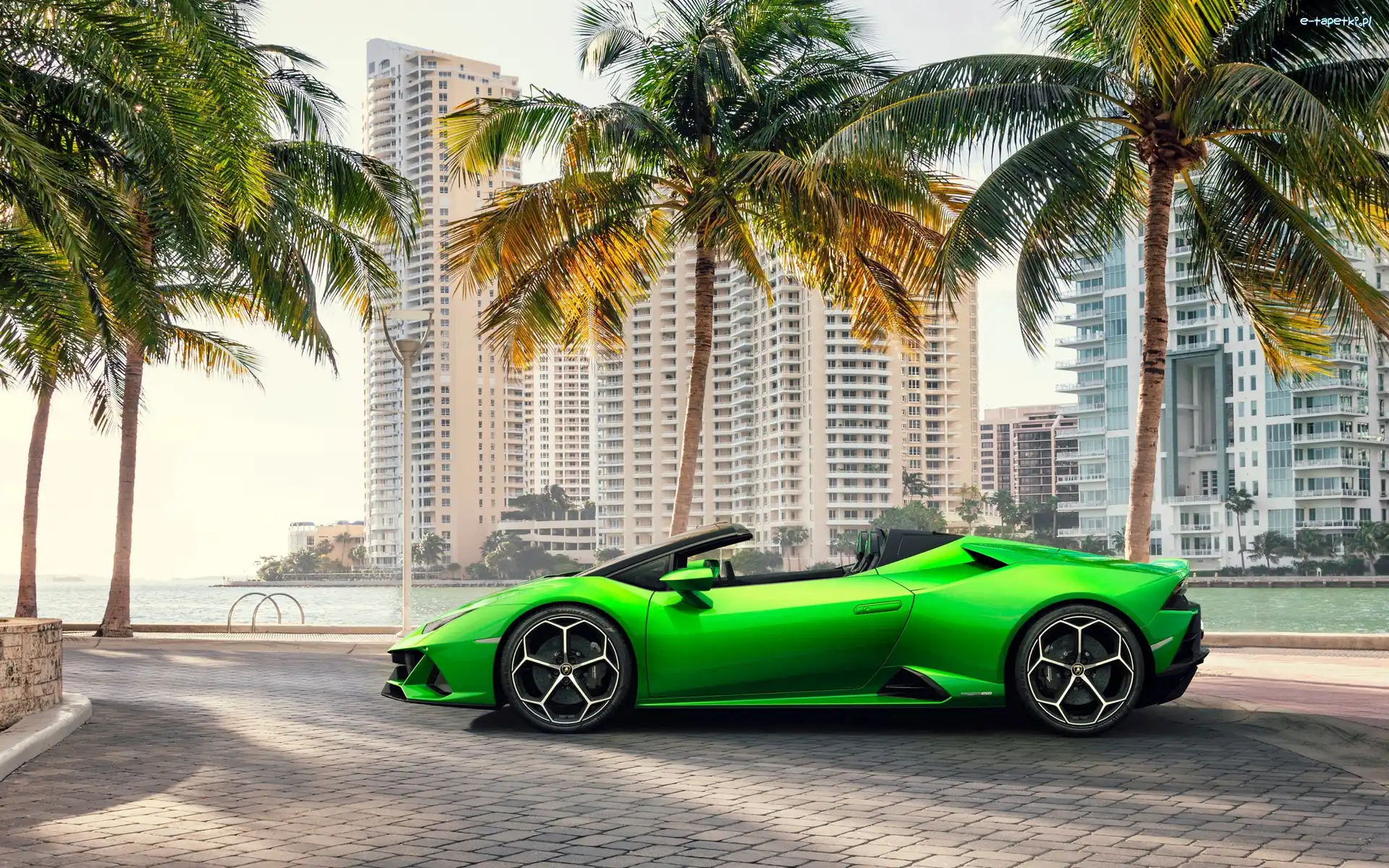 Palmy, Lamborghini Huracan, Zielone