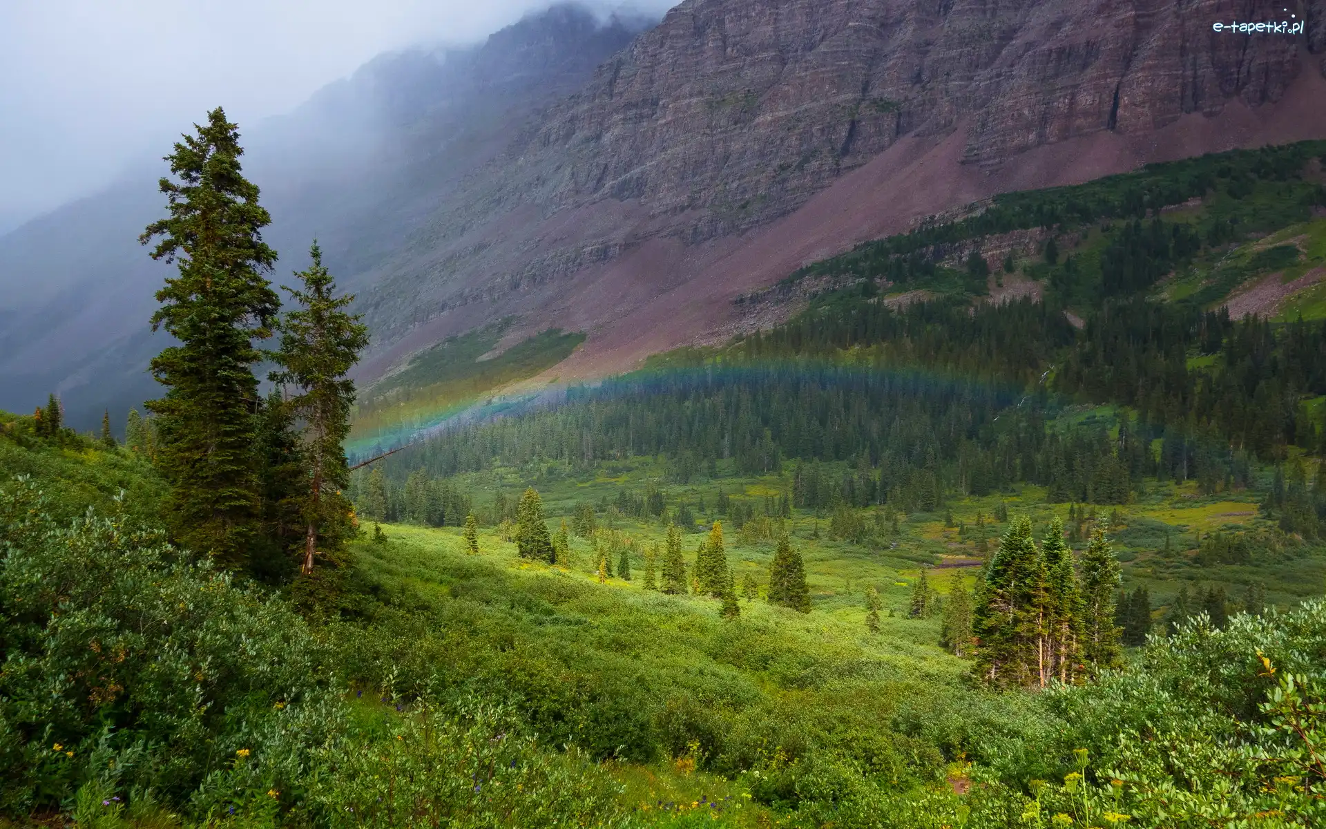 Drzewa, Maroon Bells, Stany Zjednoczone, Kolorado, Wzgórza, Krzewy, Tęcza, Góra
