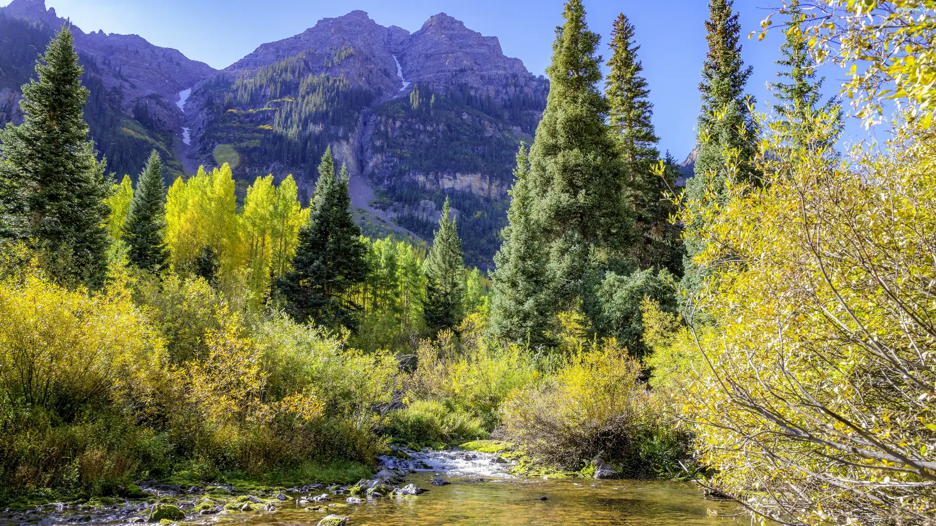 Drzewa, Góra, Stany Zjednoczone, Stan Kolorado, Maroon Bells, Krzewy, Kamienie, Rzeka Maroon Creek