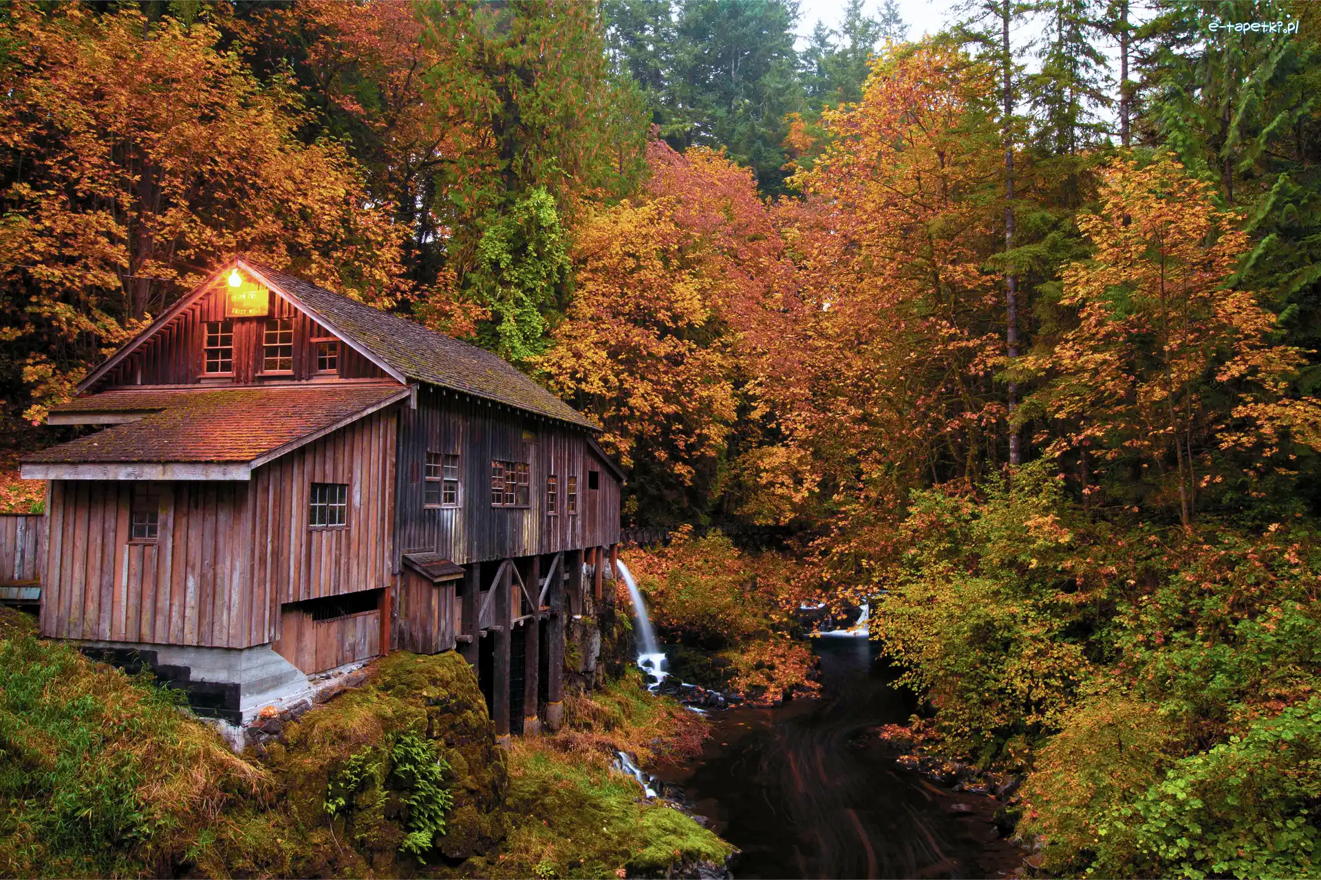 Las, Rzeka, Stany Zjednoczone, Stan Waszyngton, Drzewa, Jesień, Woodland, Młyn Cedar Creek Grist Mill