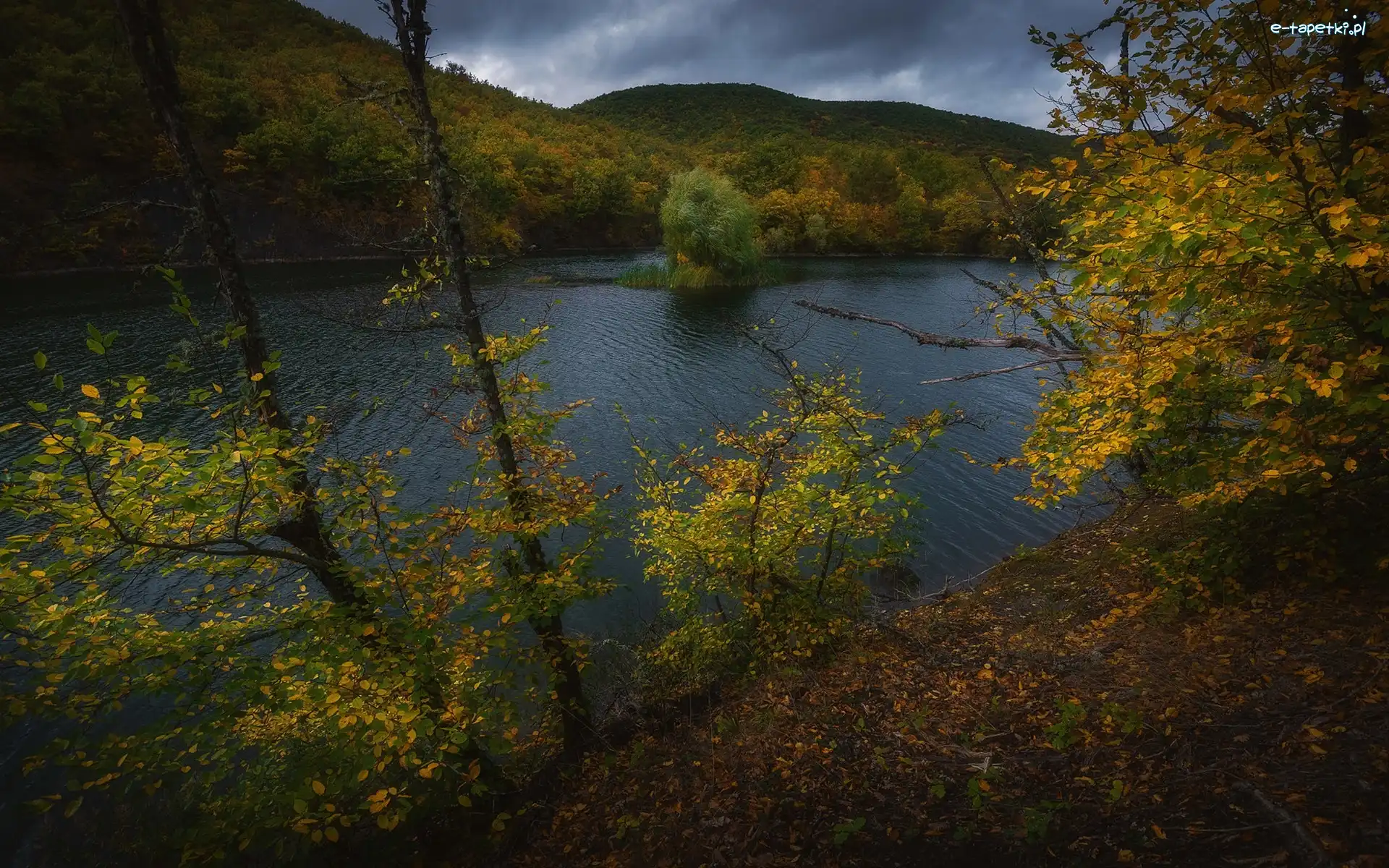 Jezioro, Wysepka, Góry, Liście, Drzewa