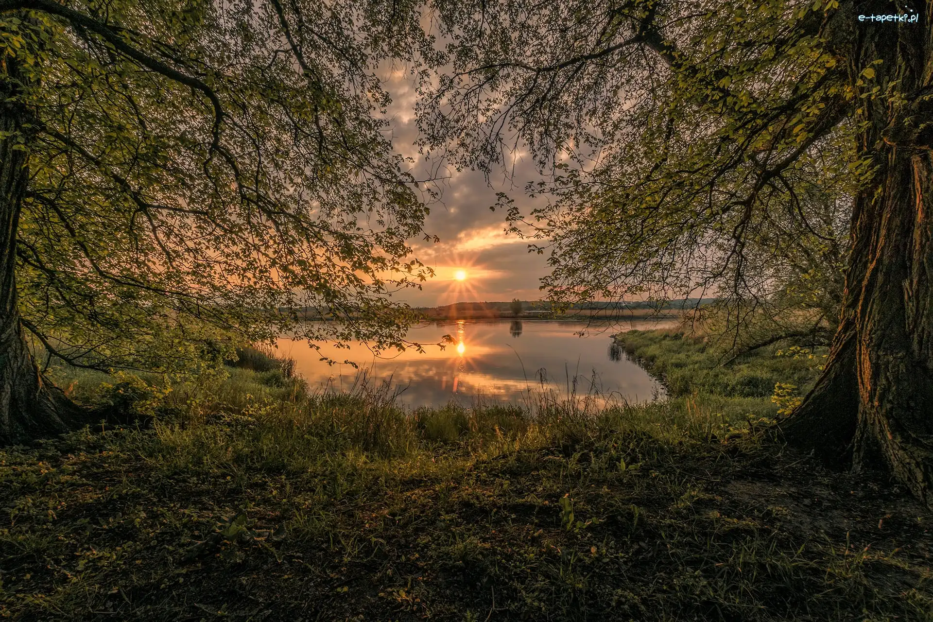 Jezioro, Drzewa, Trawa, Chmury, Zachód słońca