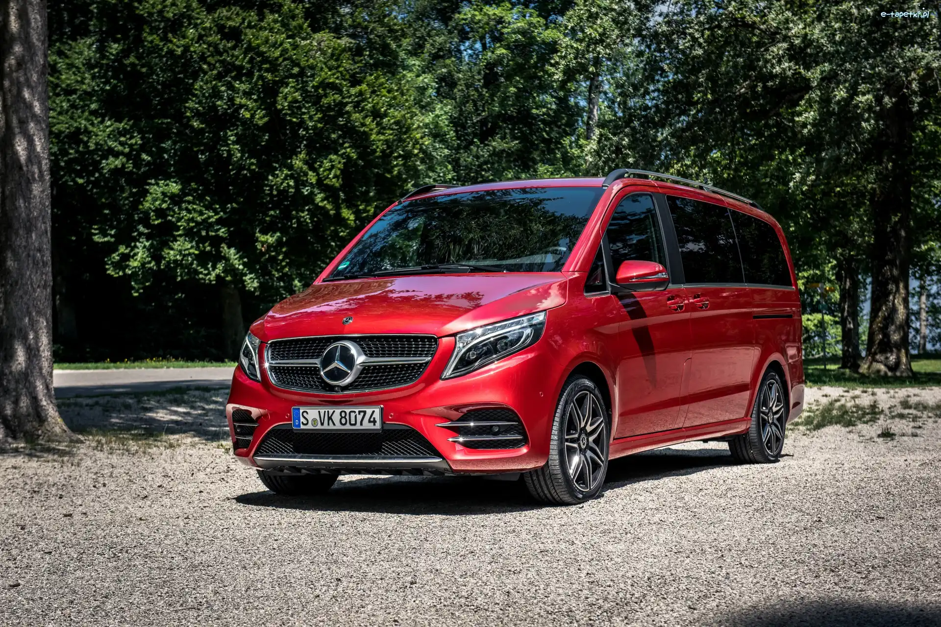 2019, Mercedes-Benz V AMG Line, Czerwony