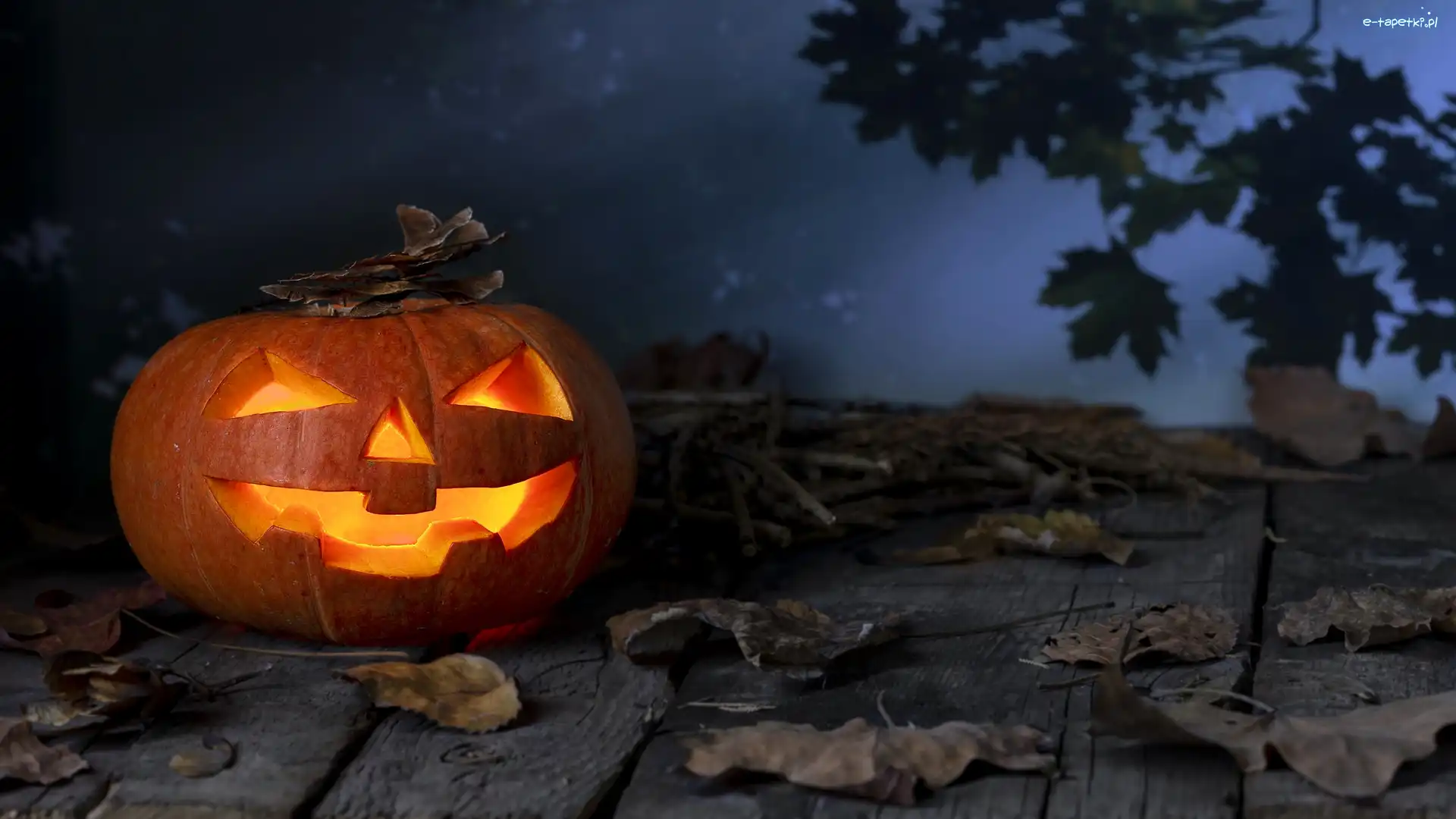 Dynia, Liście, Deski, Halloween, Noc