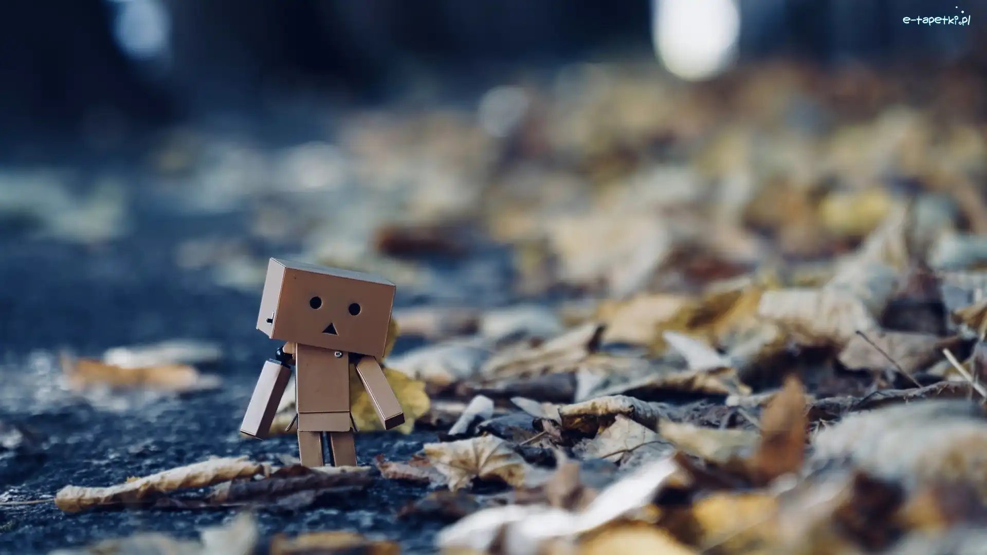 Suche, Danbo, Opadłe, Liście, Ludzik, Kartonowy