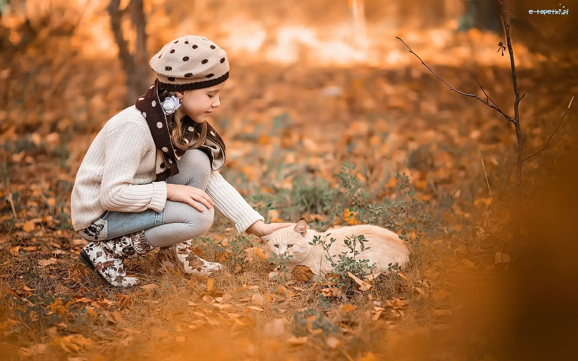 Kot, Liście, Jesień, Dziewczynka