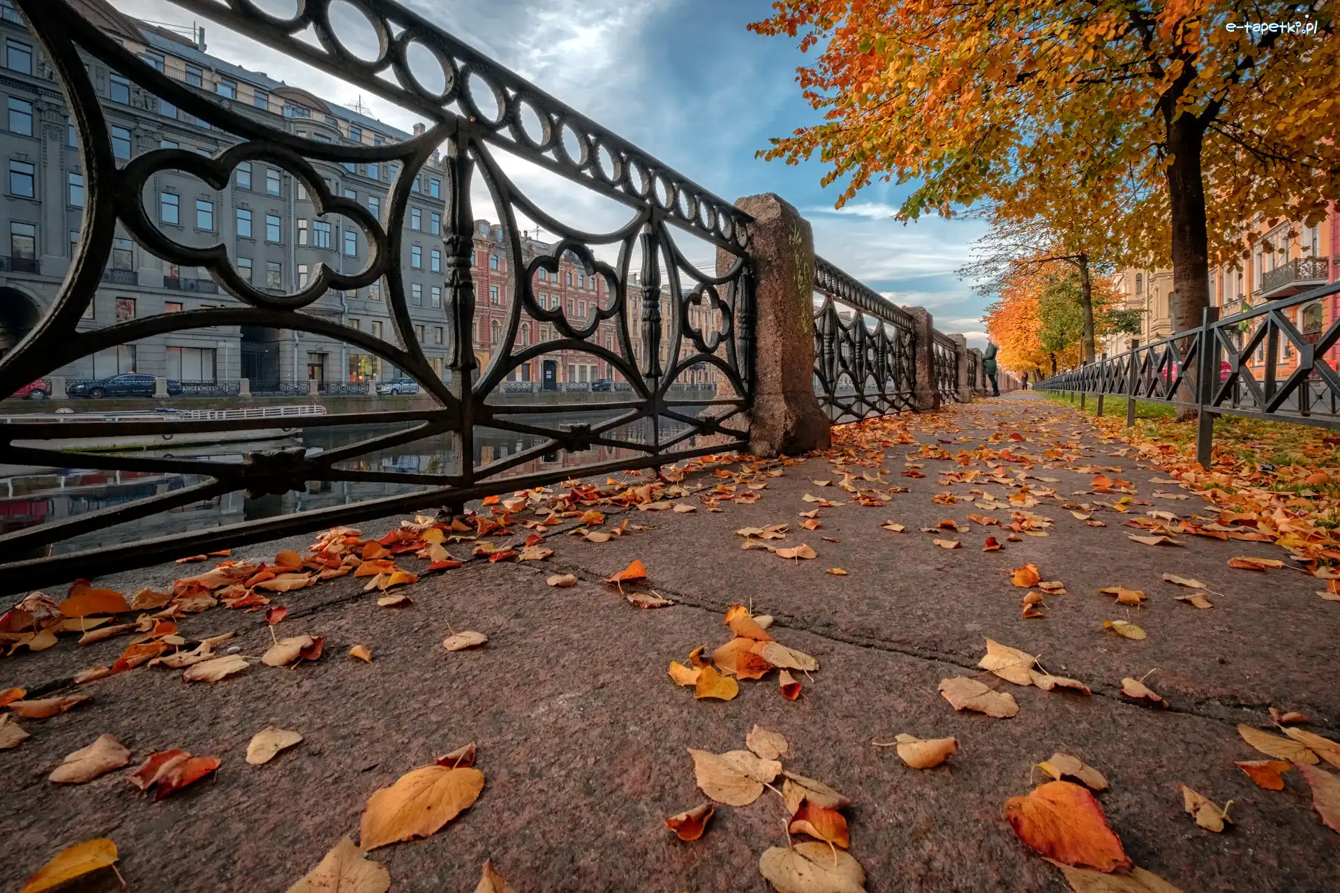 Opadłe, Sankt Petersburg, Rosja, Drzewa, Domy, Balustrada, Ulica, Miasto, Jesień, Liście