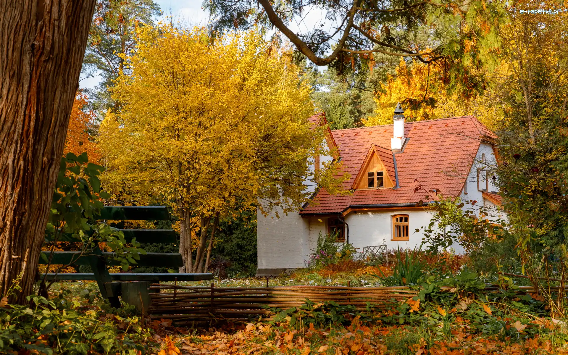 Jesień, Czerwona, Dachówka, Dom, Biały, Ławka, Drzewa