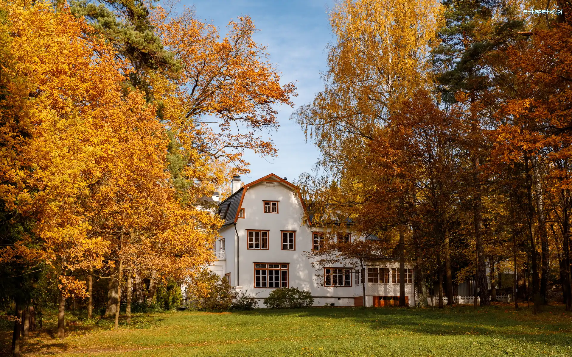 Biały, Pożółkłe, Liście, Dom, Drzewa, Jesień