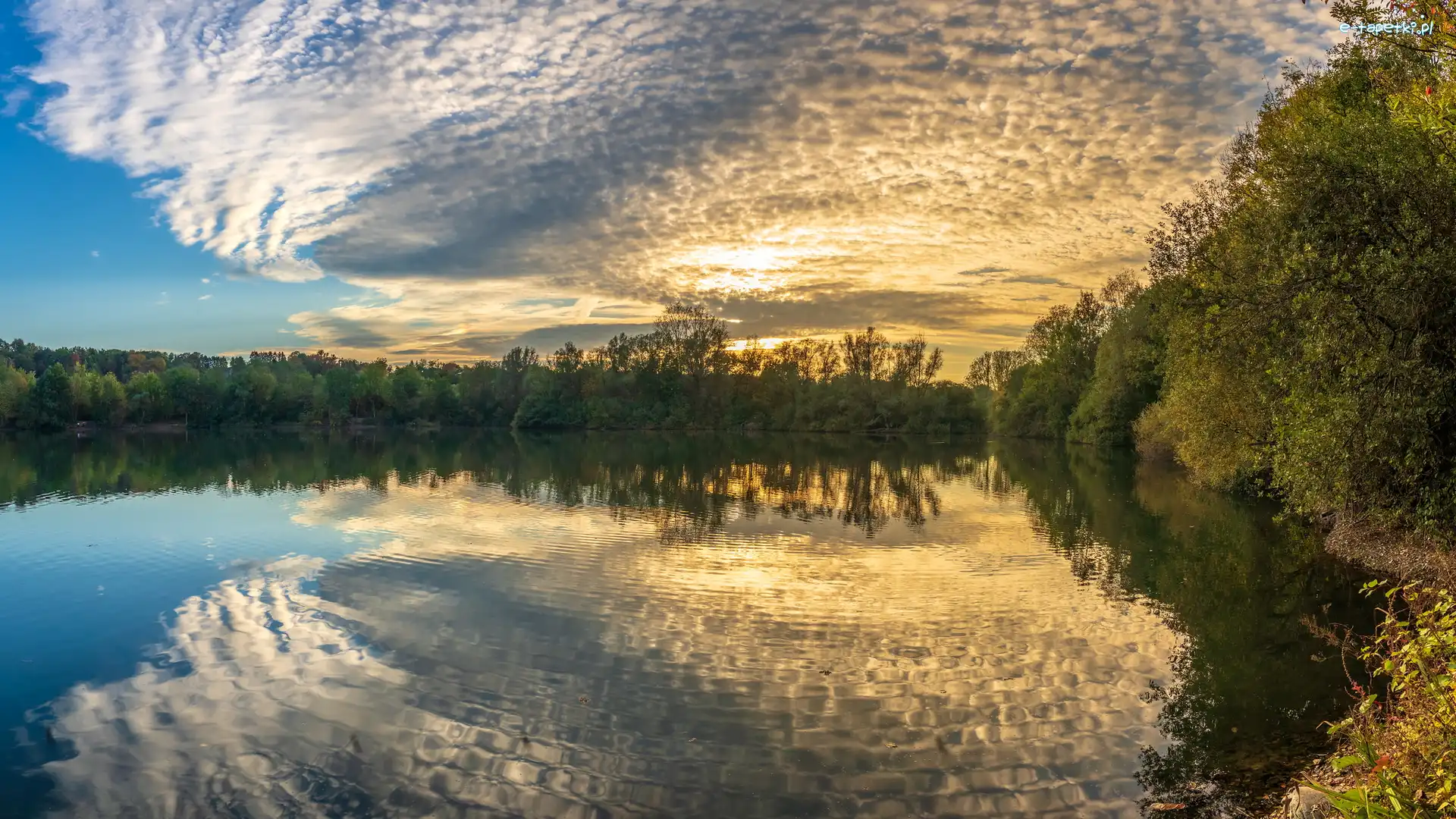 Jezioro, Drzewa, Chmury, Odbicie, Wschód słońca