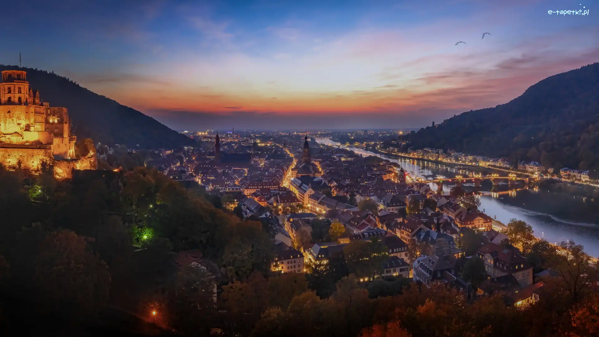 Rzeka Neckar, Heidelberg, Niemcy, Badenia-Wirtembergia, Zachód słońca, Zamek, Drzewa, Miasto