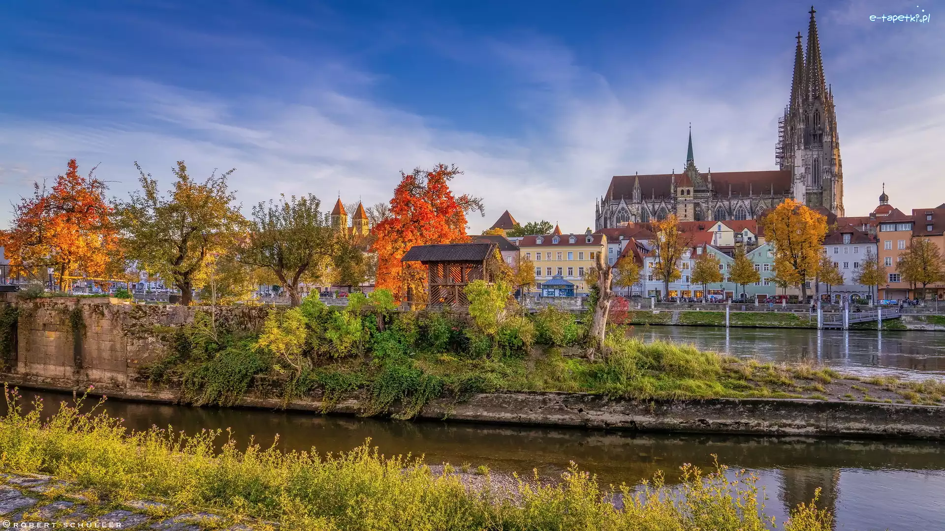 Regensburg, Rzeka Regen, Drzewa, Katedra w Regensburgu, Kościół, Niemcy, Bawaria, Domy, Ratyzbona