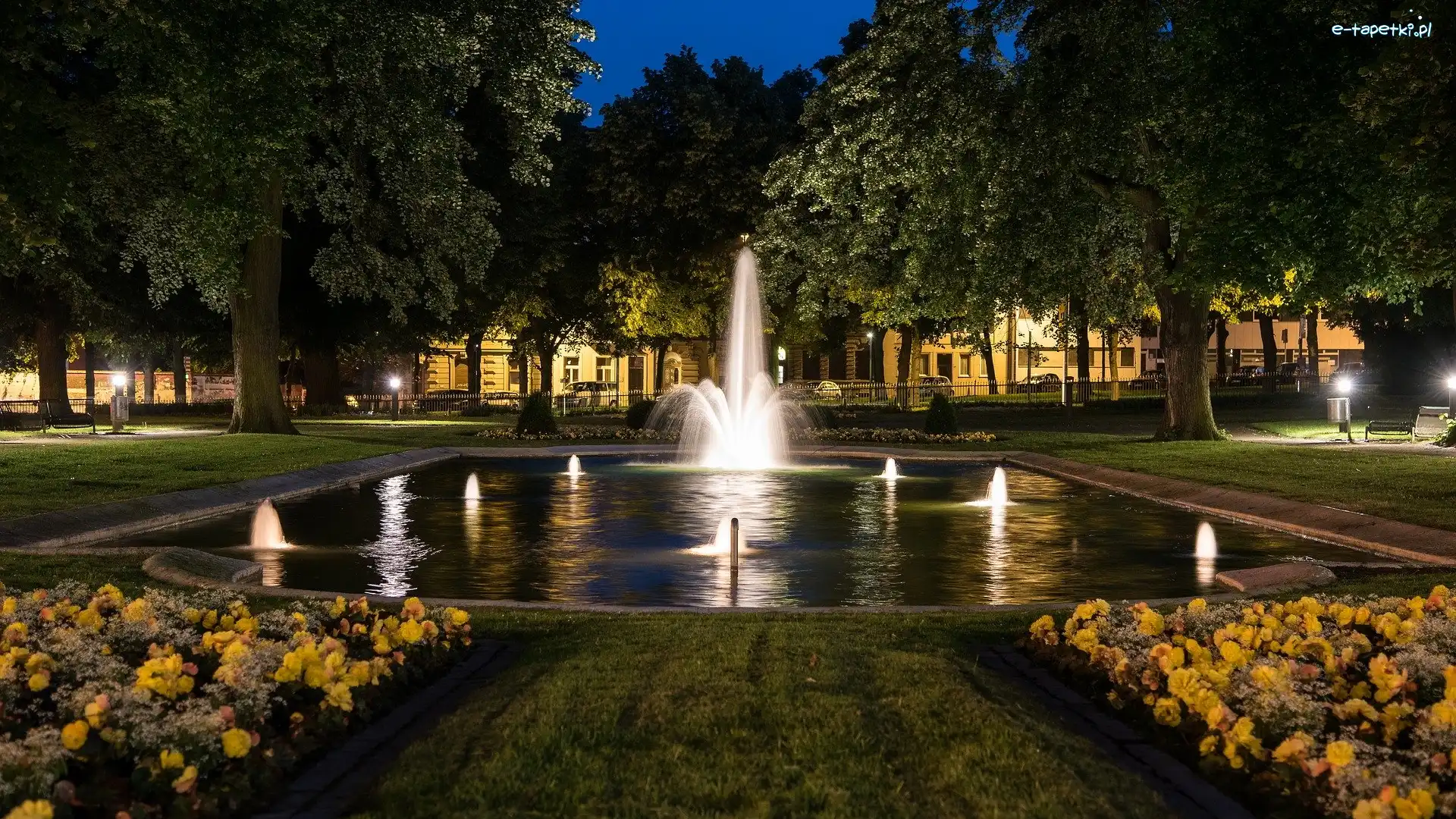 Drzewa, Fontanna, Kwiaty, Noc, Oświetlona, Park