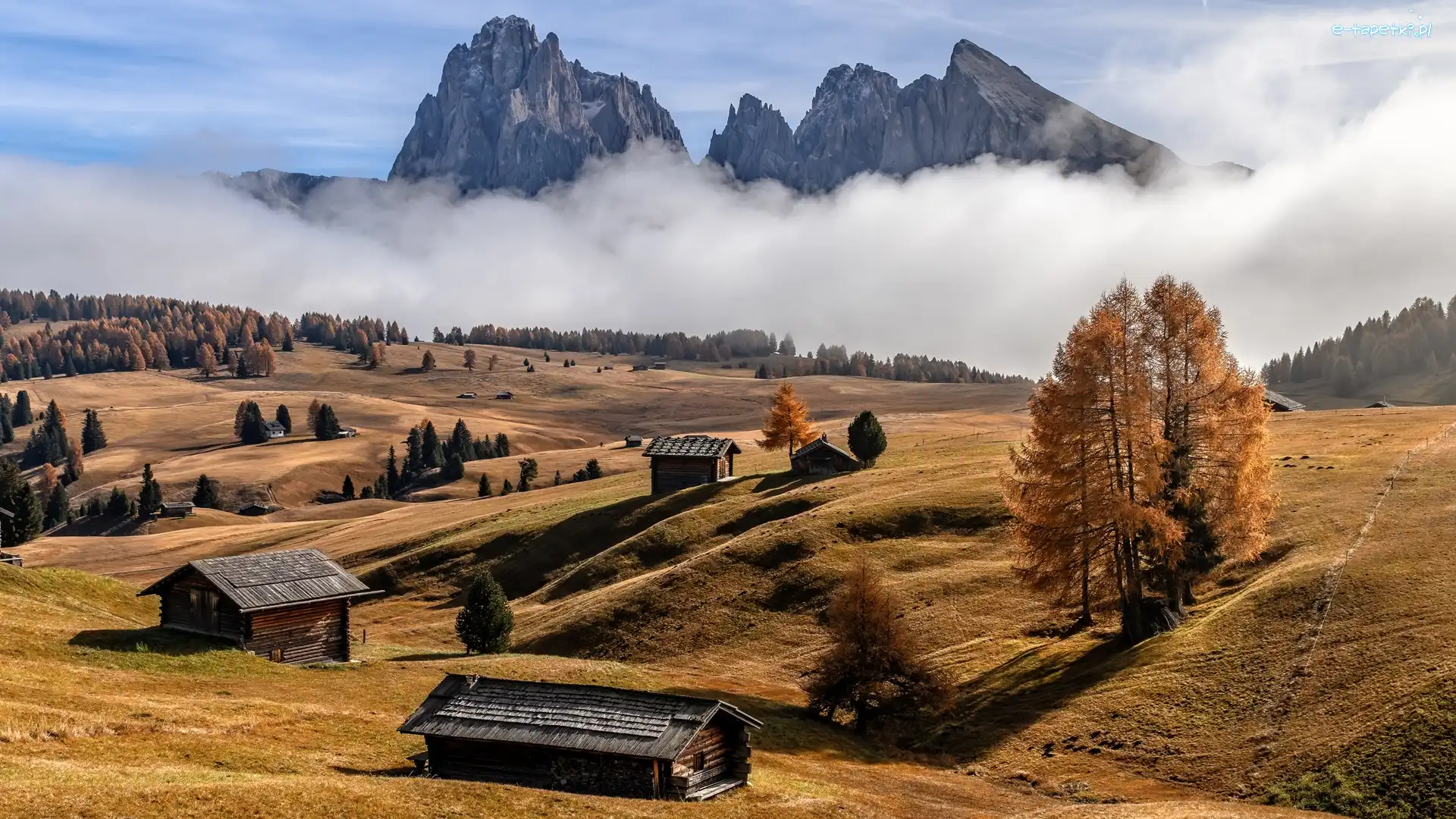 Domy, Dolomity, Dolina Val Gardena, Płaskowyż Seiser Alm, Włochy, Jesień, Mgła, Góry Sassolungo, Drzewa