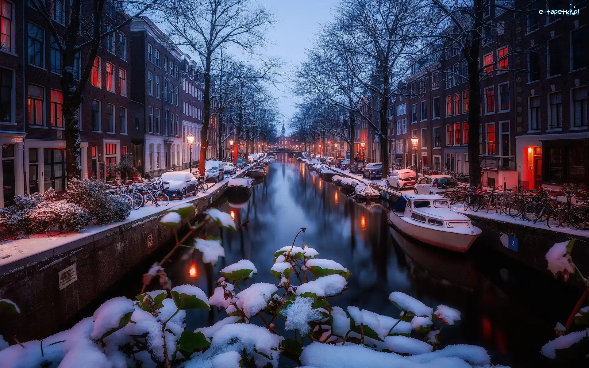 Amsterdam, Kanał, Domy, Holandia, Śnieg, Zima