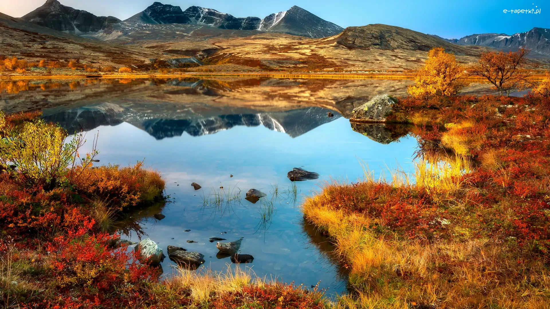 Drzewa, Góry, Norwegia, Park Narodowy Rondane, Jezioro, Roślinność, Odbicie, Jesień
