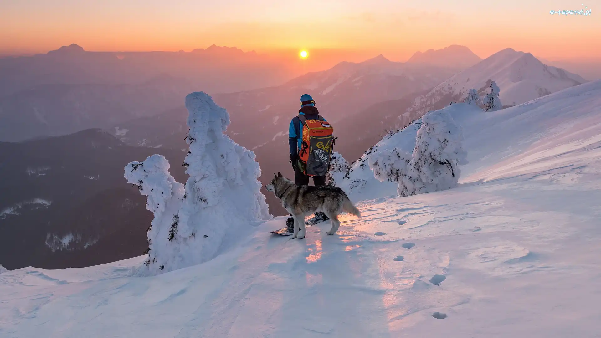 Drzewa, Zima, Zachód słońca, Pies, Ośnieżone, Mężczyzna, Snowboardzista, Góry