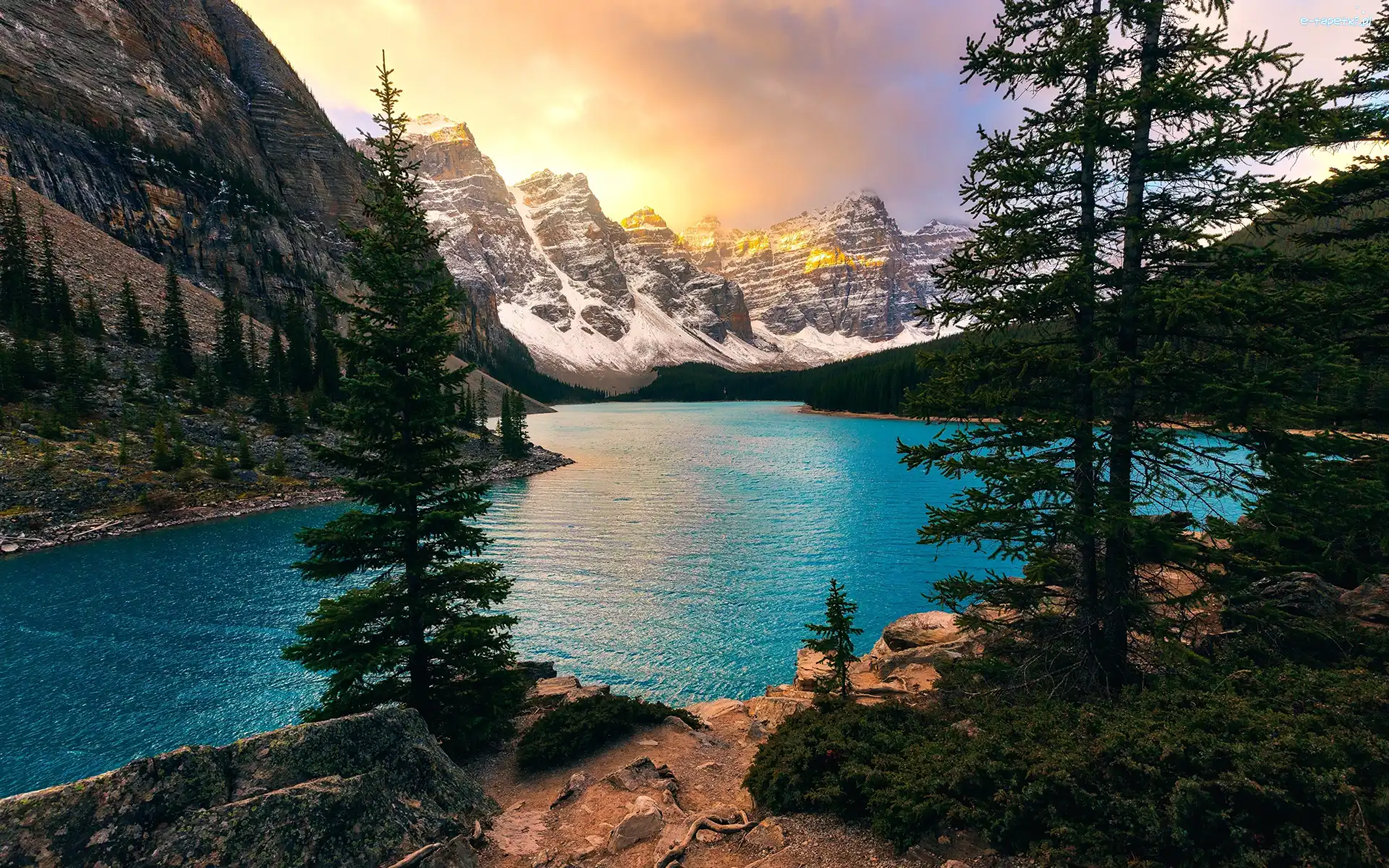 Dolina Dziesięciu Szczytów, Dolina Valley of the Ten Peaks, Park Narodowy Banff, Alberta, Kanada, Góry, Drzewa, Jezioro Moraine, Las