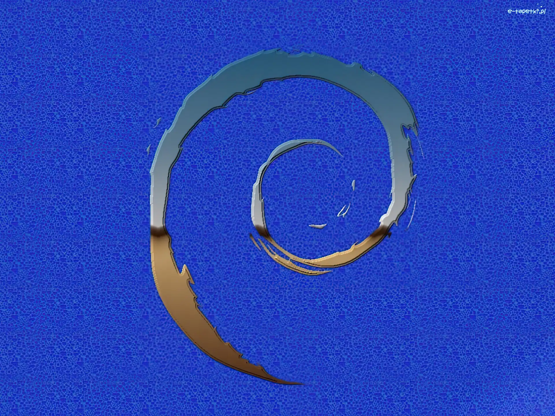 grafika, ślimak, muszla, Linux Debian, zawijas