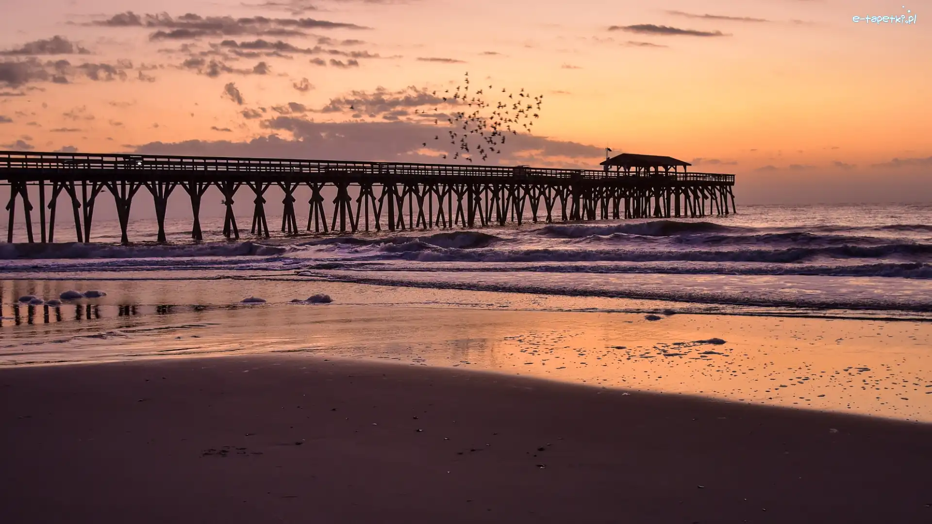 Wschód słońca, Molo, Stany Zjednoczone, Karolina Południowa, Ptaki, Plaża, Myrtle Beach State Park, Morze