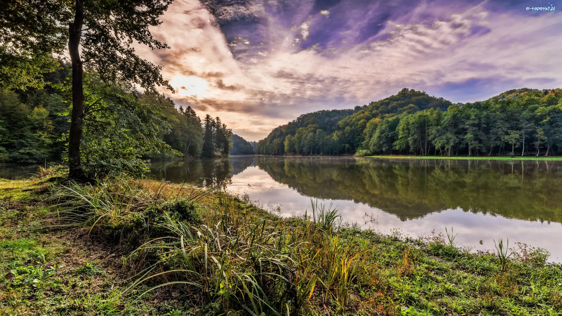 Rzeka, Odbicie, Drzewa, Chmury, Trawa