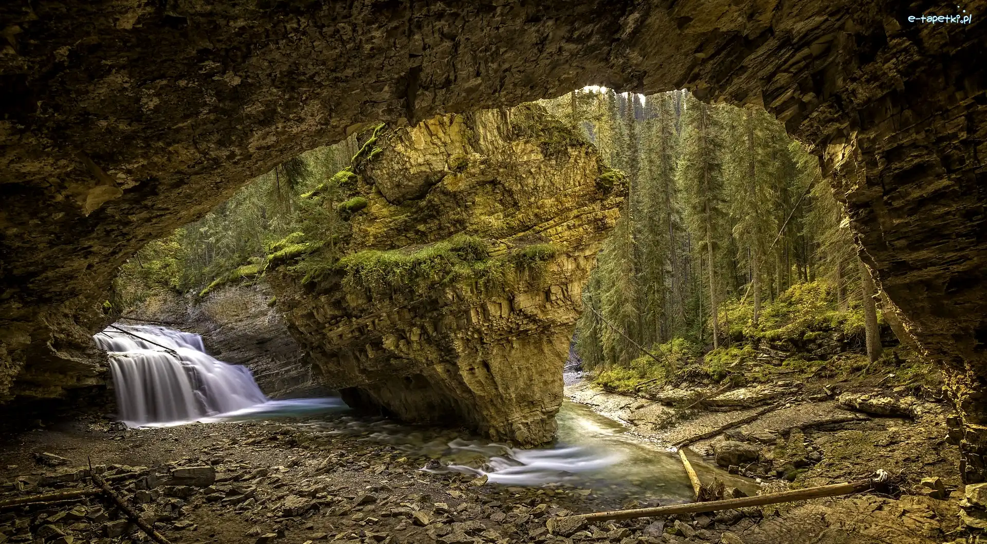 Drzewa, Johnston Canyon, Jaskinia, Park Narodowy Banff, Kanada, Wodospad, Skała