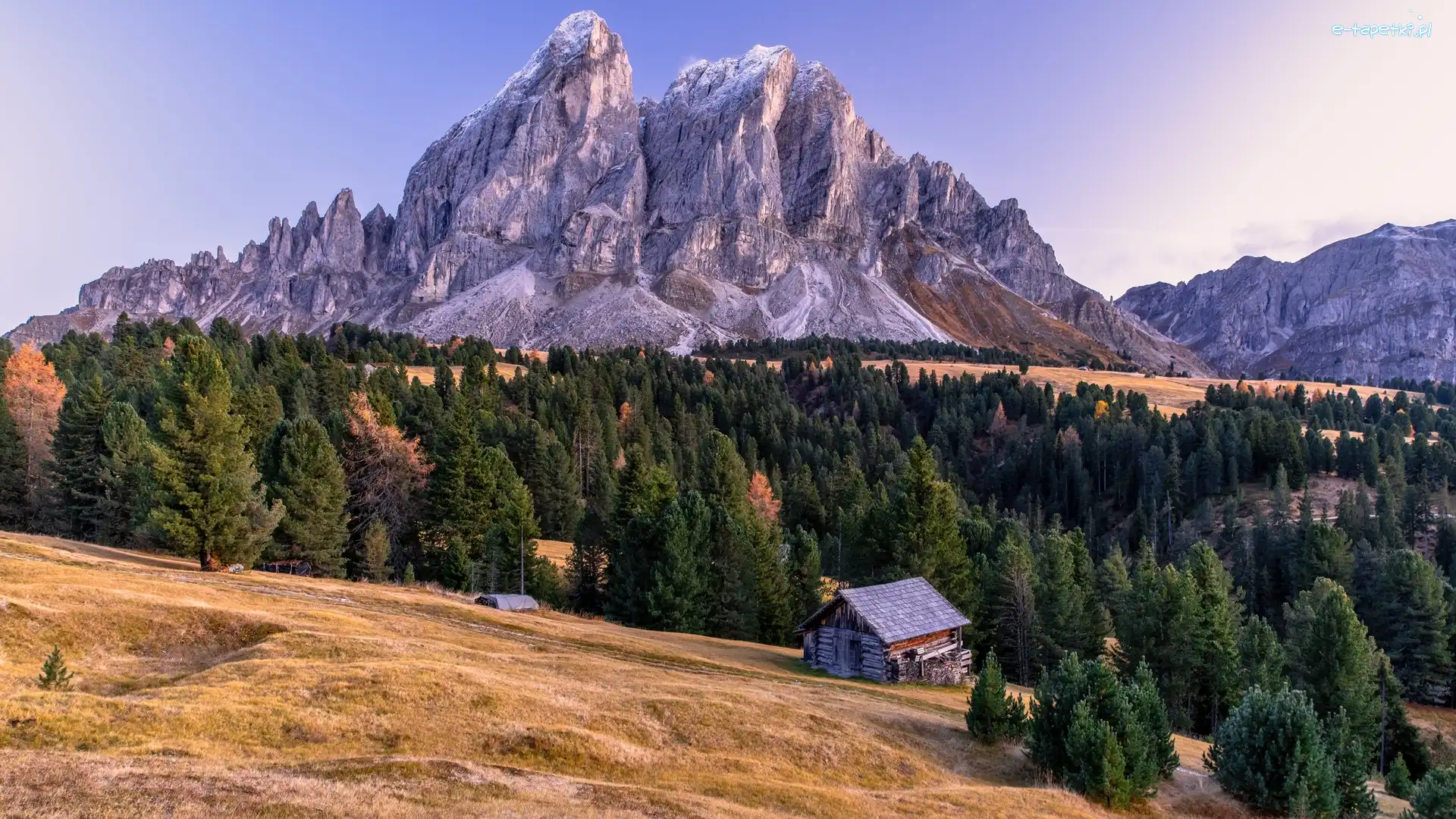 Drzewa, Góry, Las, Dom, Dolomity, Włochy