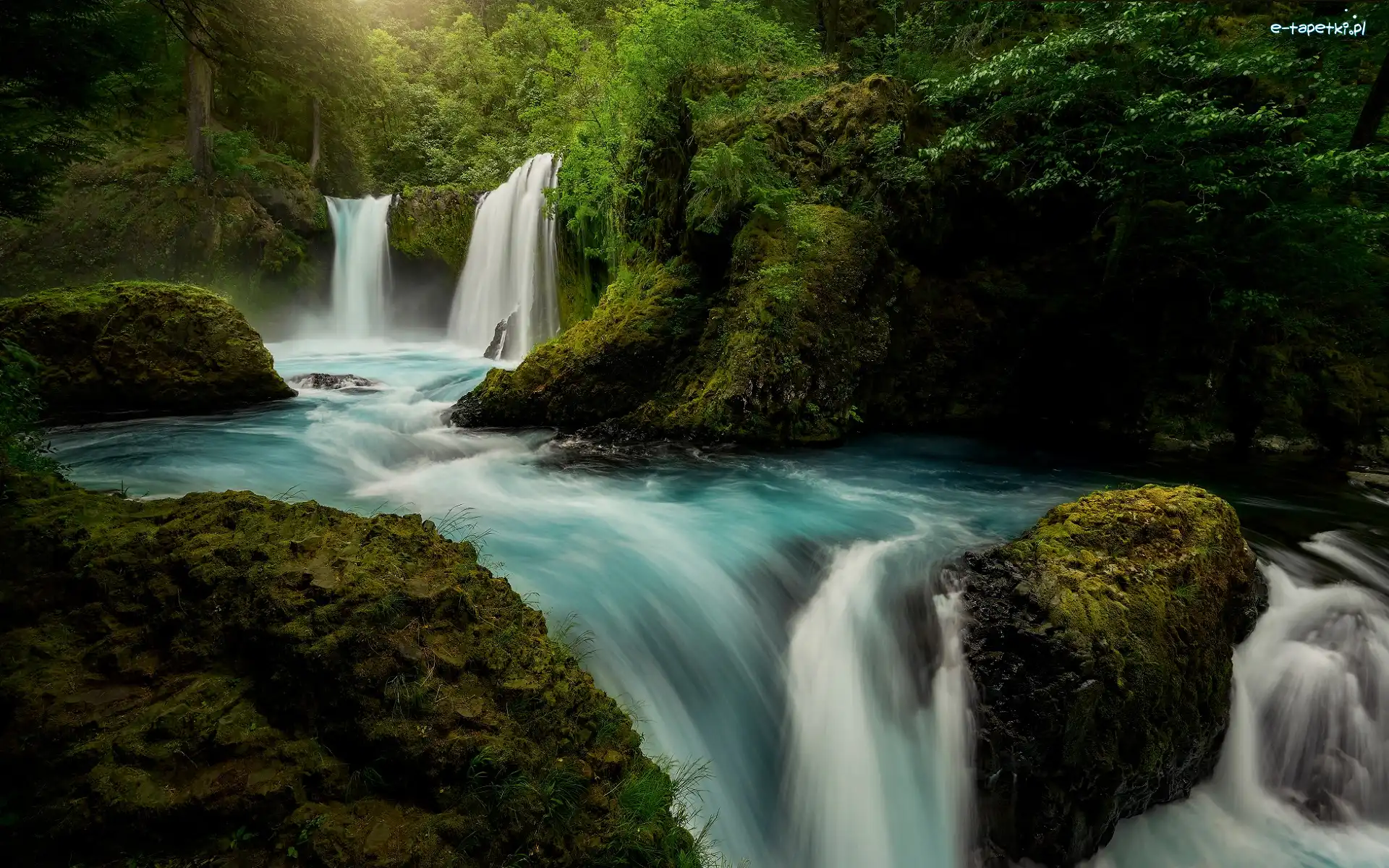 Wodospad Spirit Falls, Rzeka Little White Salmon River, Las Narodowy Gifford Pinchot, Stan Waszyngton, Stany Zjednoczone, Skały, Kamienie, Drzewa, Omszałe