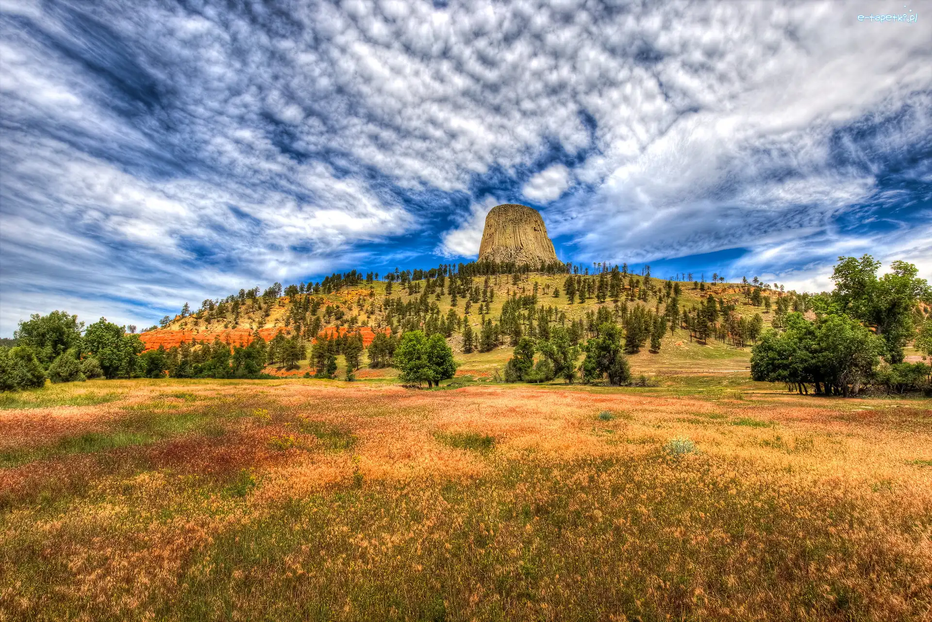 Stany Zjednoczone, Wzgórze, Drzewa, Skała Devils Tower, Góra, Stan Wyoming, Chmury