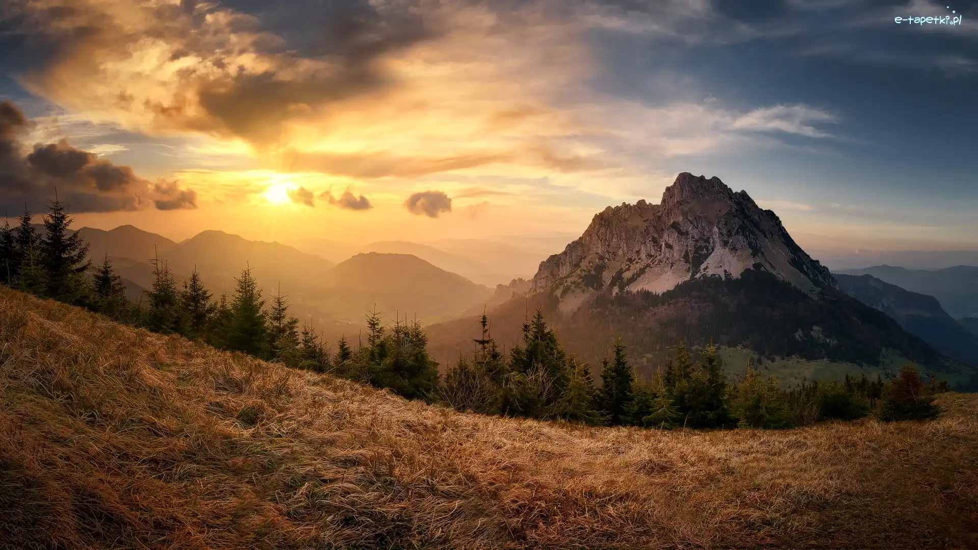 Drzewa, Karpaty, Zachód słońca, Słowacja, Mała Fatra, Góry