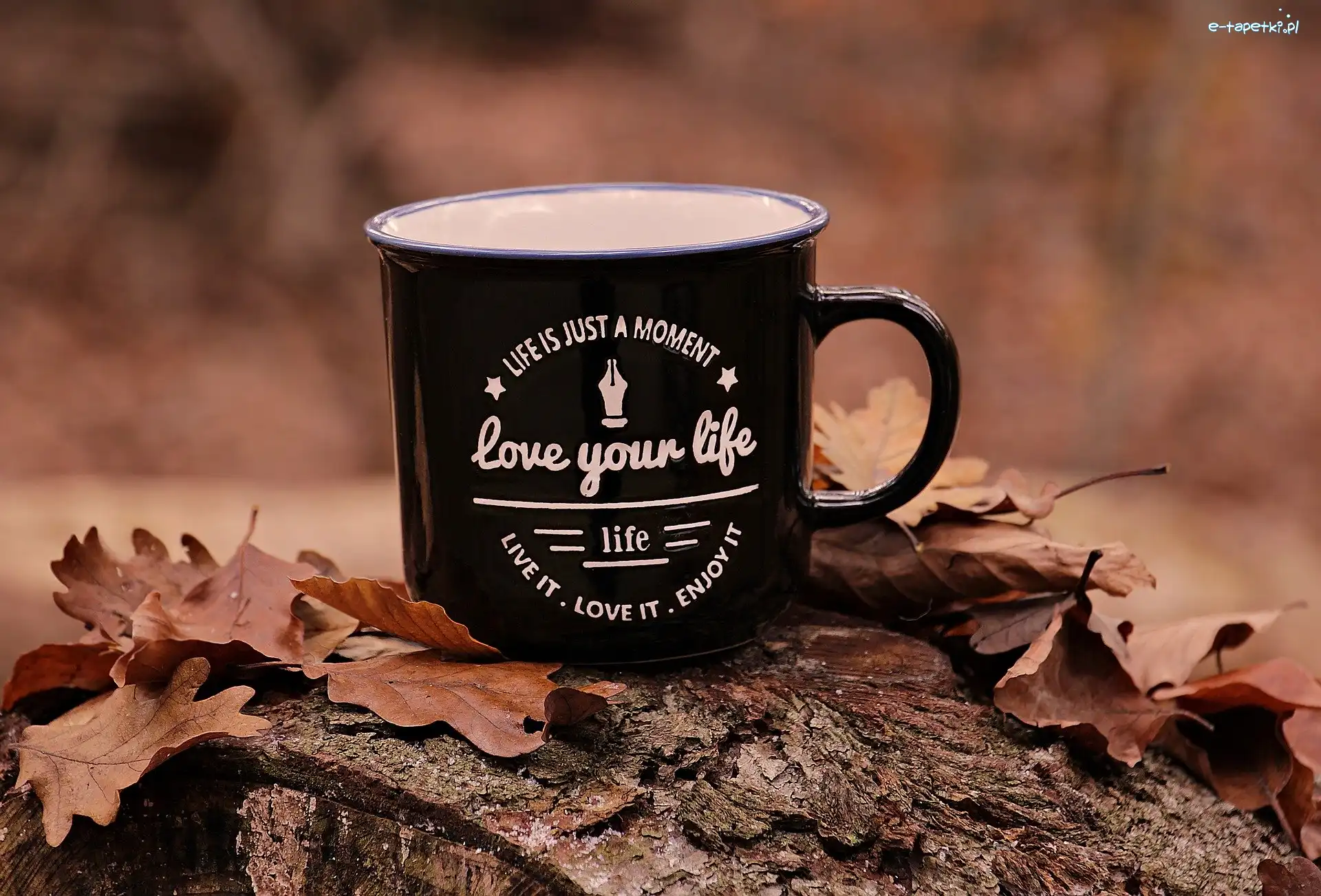 Kubek, Love Your Life, Napis, Liście, Motto