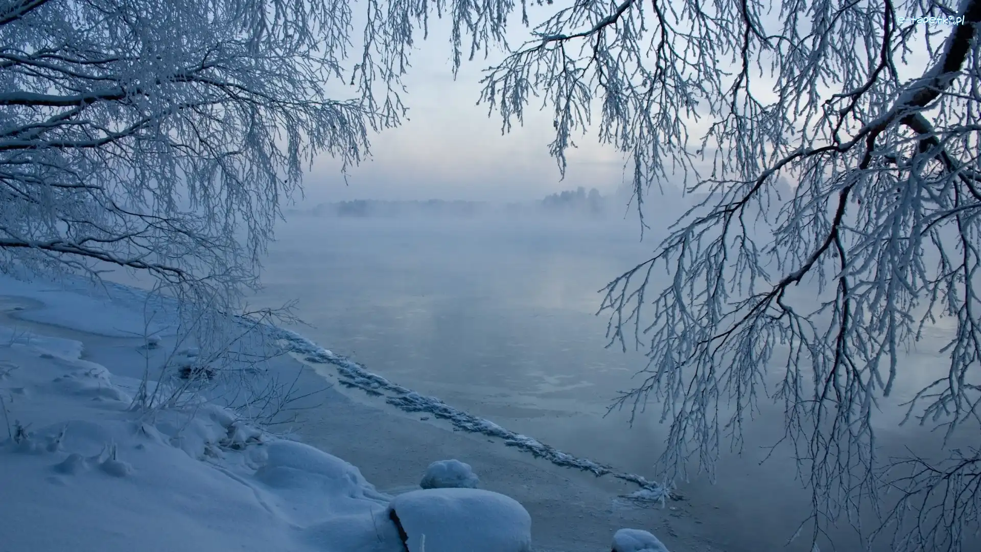 Mgła, Drzewa, Gałęzie, Ośnieżone, Zima, Lód, Jezioro