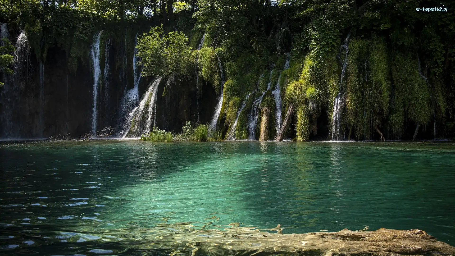 Roślinność, Drzewa, Wodospady, Park Narodowy Jezior Plitwickich, Jezioro, Chorwacja