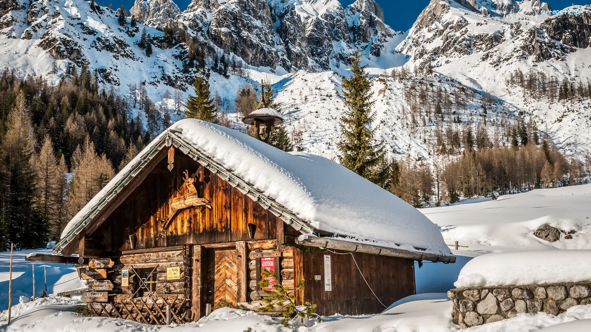 Góry, Świerki, Chata, Śnieg, Zima, Austria, Ramsau am Dachstein, Drzewa, Alpy