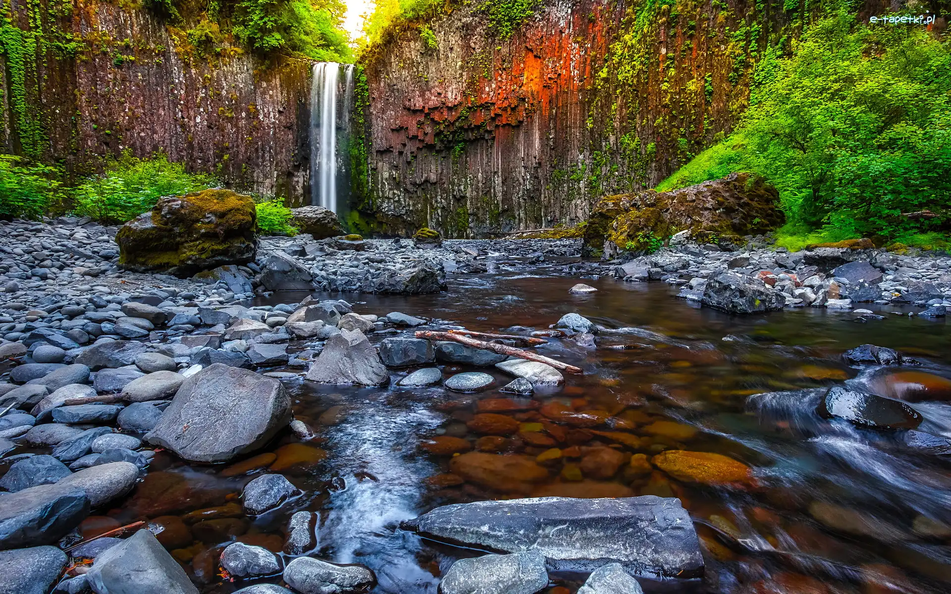 Stany Zjednoczone, Rzeka, Drzewa, Skały, Wodospad Abiqua Falls, Stan Oregon, Kamienie