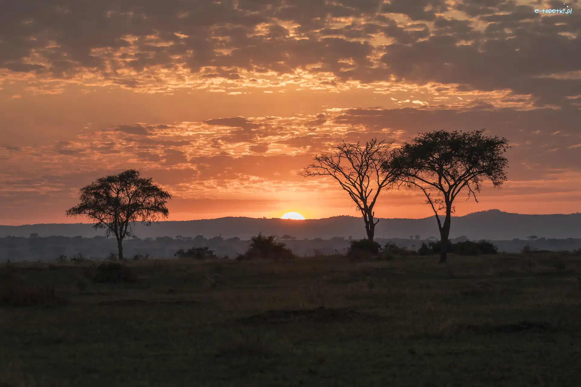 Uganda, Drzewa, Kisoro, Afryka, Chmury, Zachód słońca