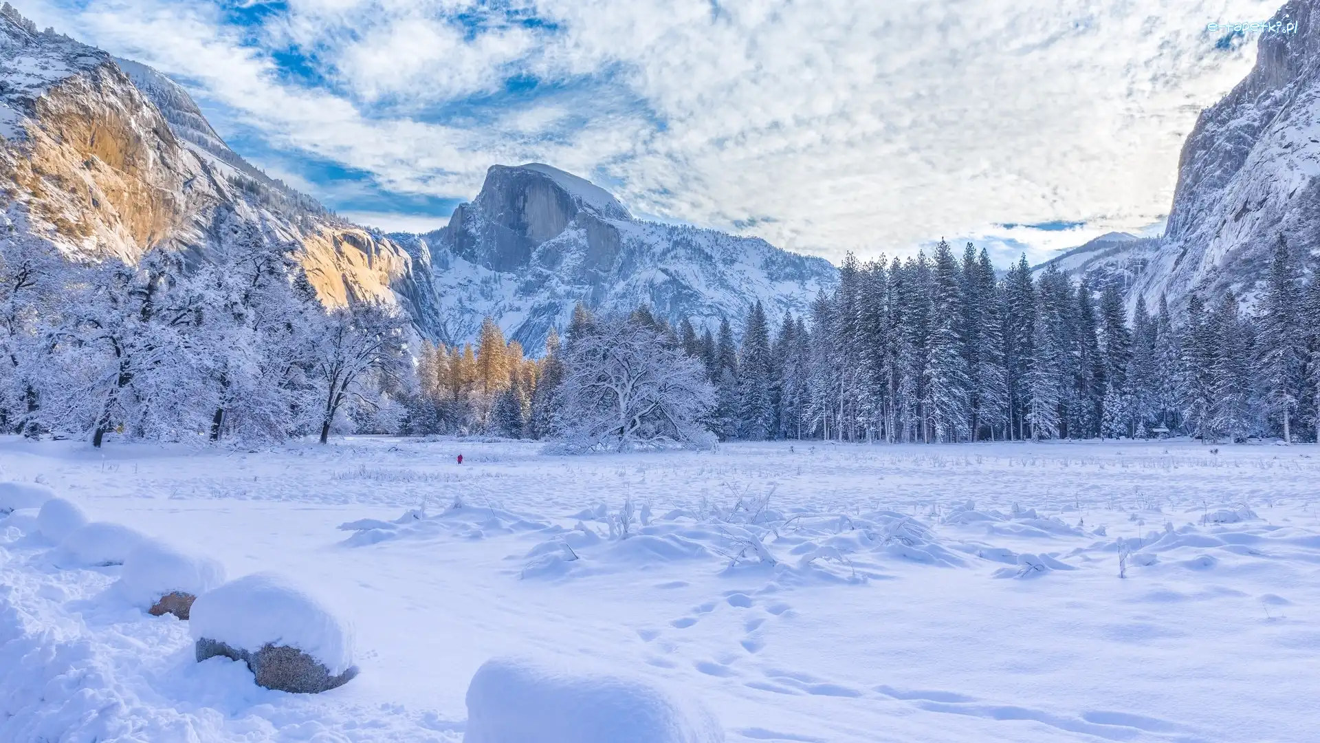 Stany Zjednoczone, Drzewa, Góry, Park Narodowy Yosemite, Zima, Kalifornia, Chmury