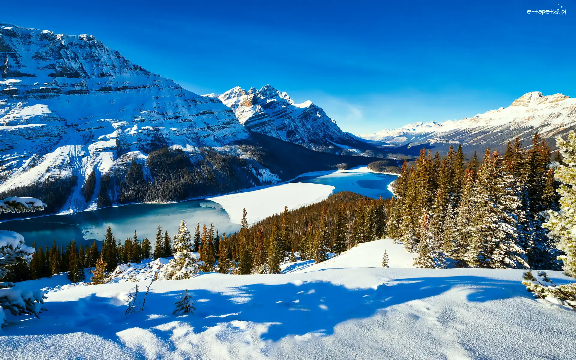 Kanada, Park Narodowy Banff, Góry Canadian Rockies, Jezioro Peyto Lake, Zima, Drzewa, Lasy