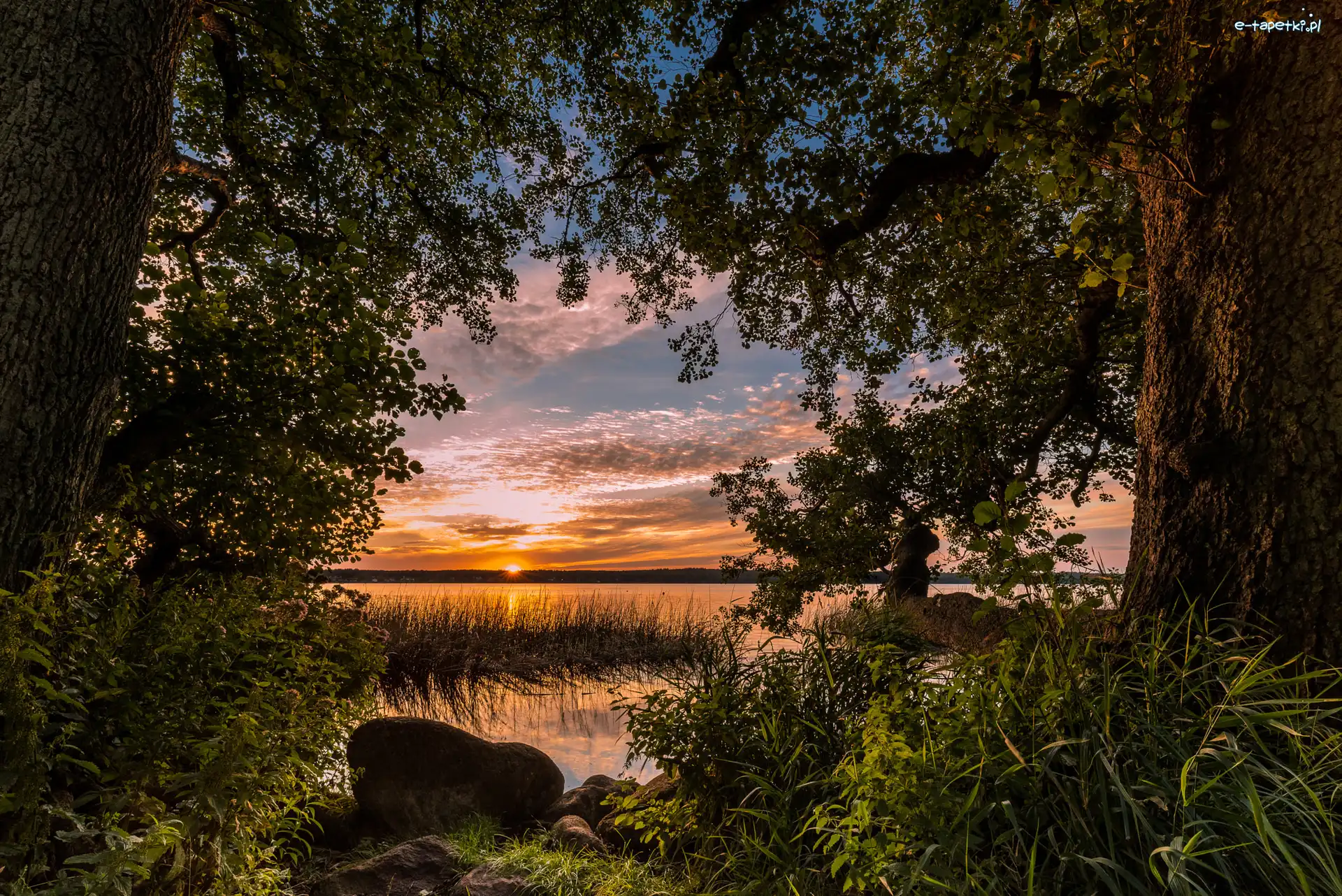 Zachód słońca, Drzewa, Jezioro, Kamienie, Roślinność