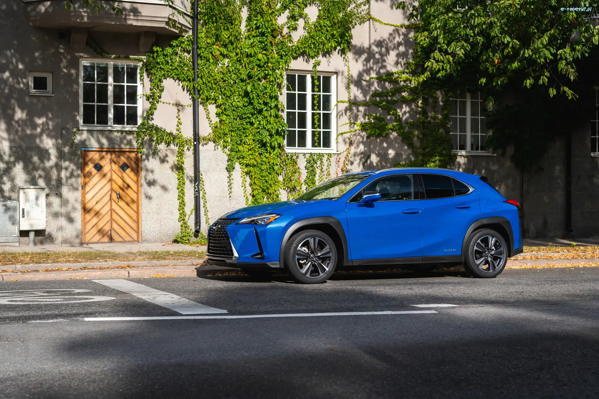 Dom, Lexus UX 250h, Niebieski