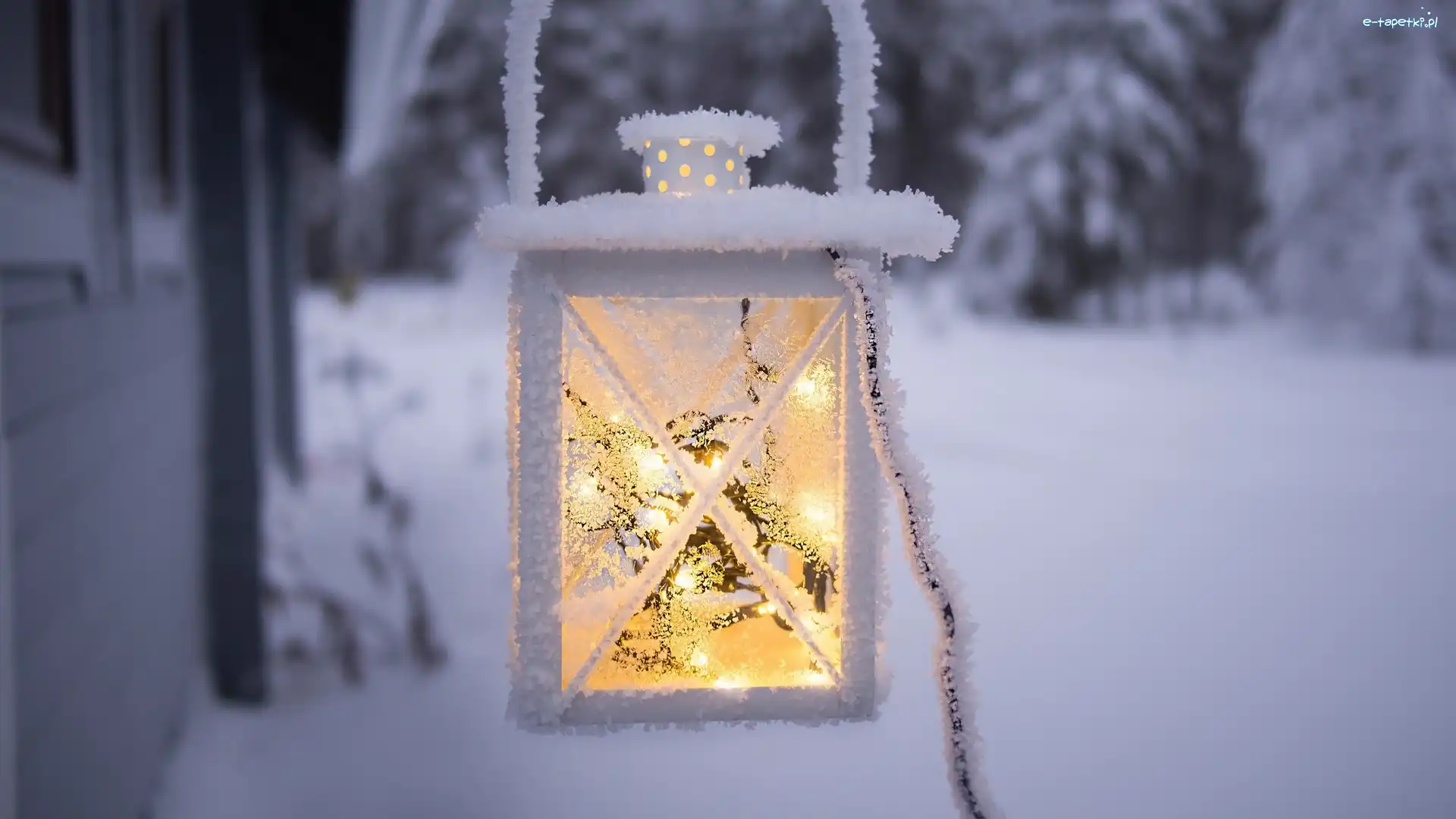 Rozświetlony, Szron, Śnieg, Lampion