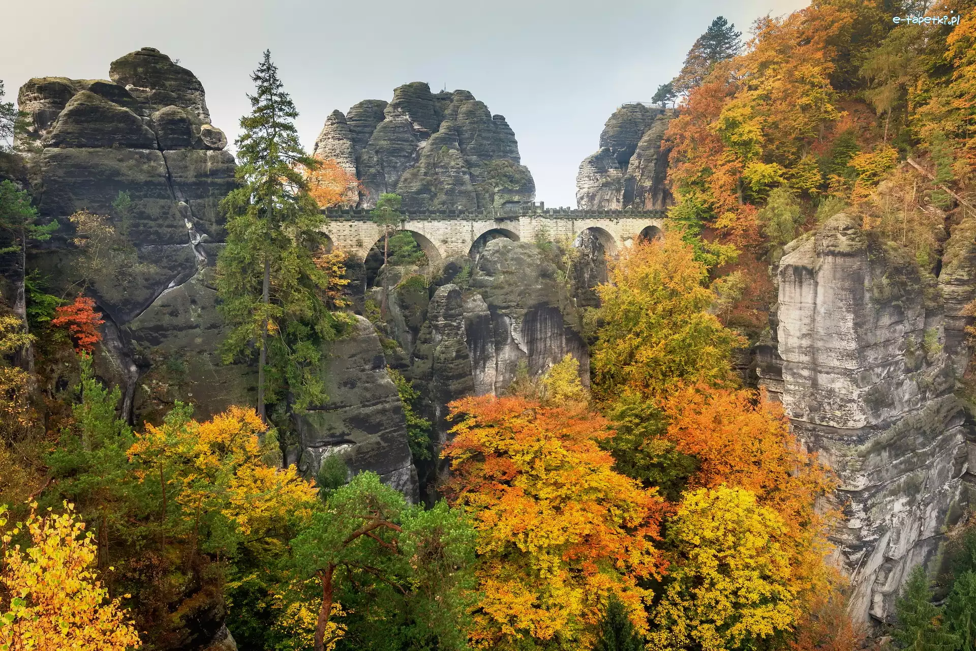 Formacja skalna, Skały, Drzewa, Góry Połabskie, Jesień, Niemcy, Park Narodowy Saskiej Szwajcarii, Most, Bastei