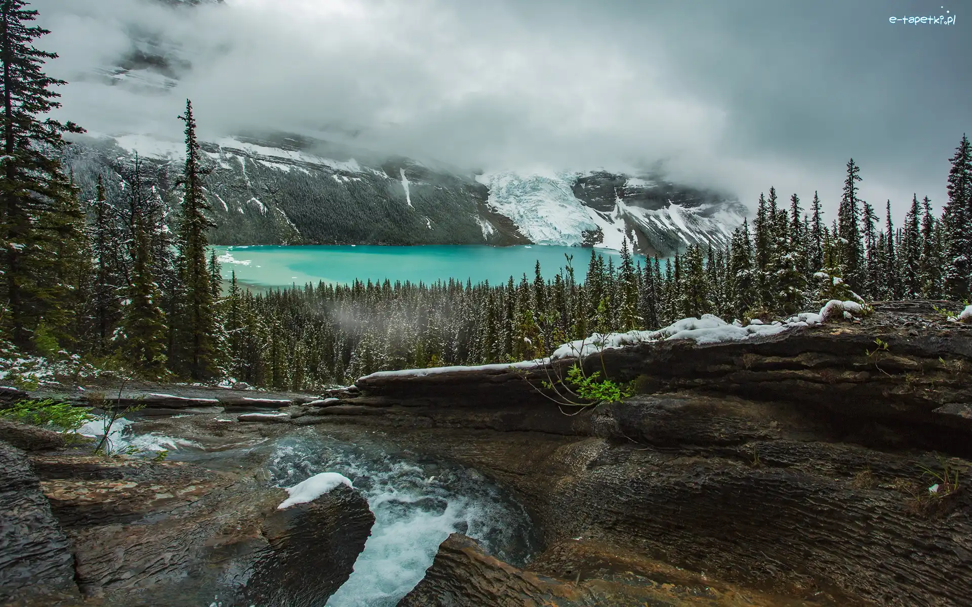 Strumyk, Skały, Canadian Rockies, Góry Skaliste, Jezioro Berg Lake, Kanada, Kolumbia Brytyjska, Drzewa, Mgła