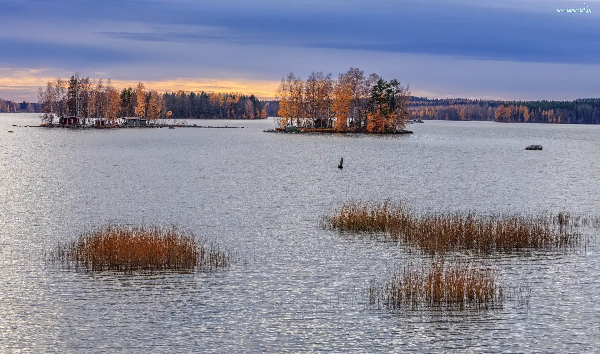 Trawy, Drzewa, Jesienne, Jezioro